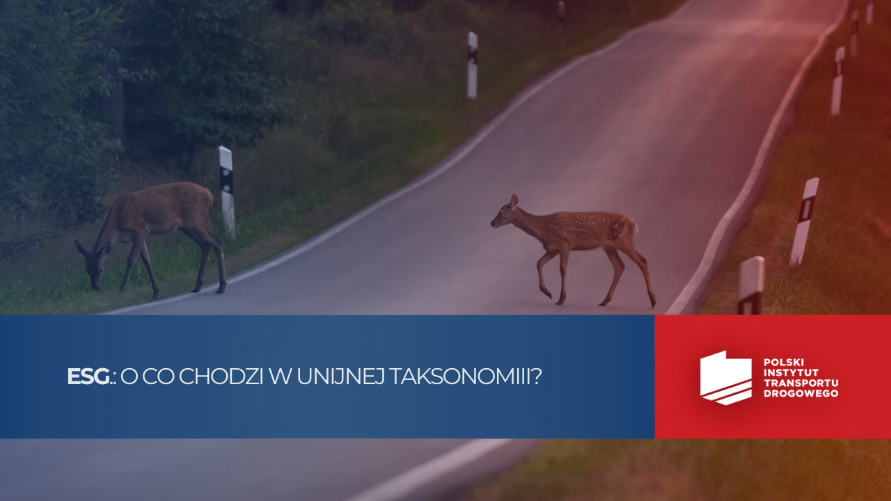 Taksonomia UE w transporcie. O co chodzi? Co trzeba raportować?